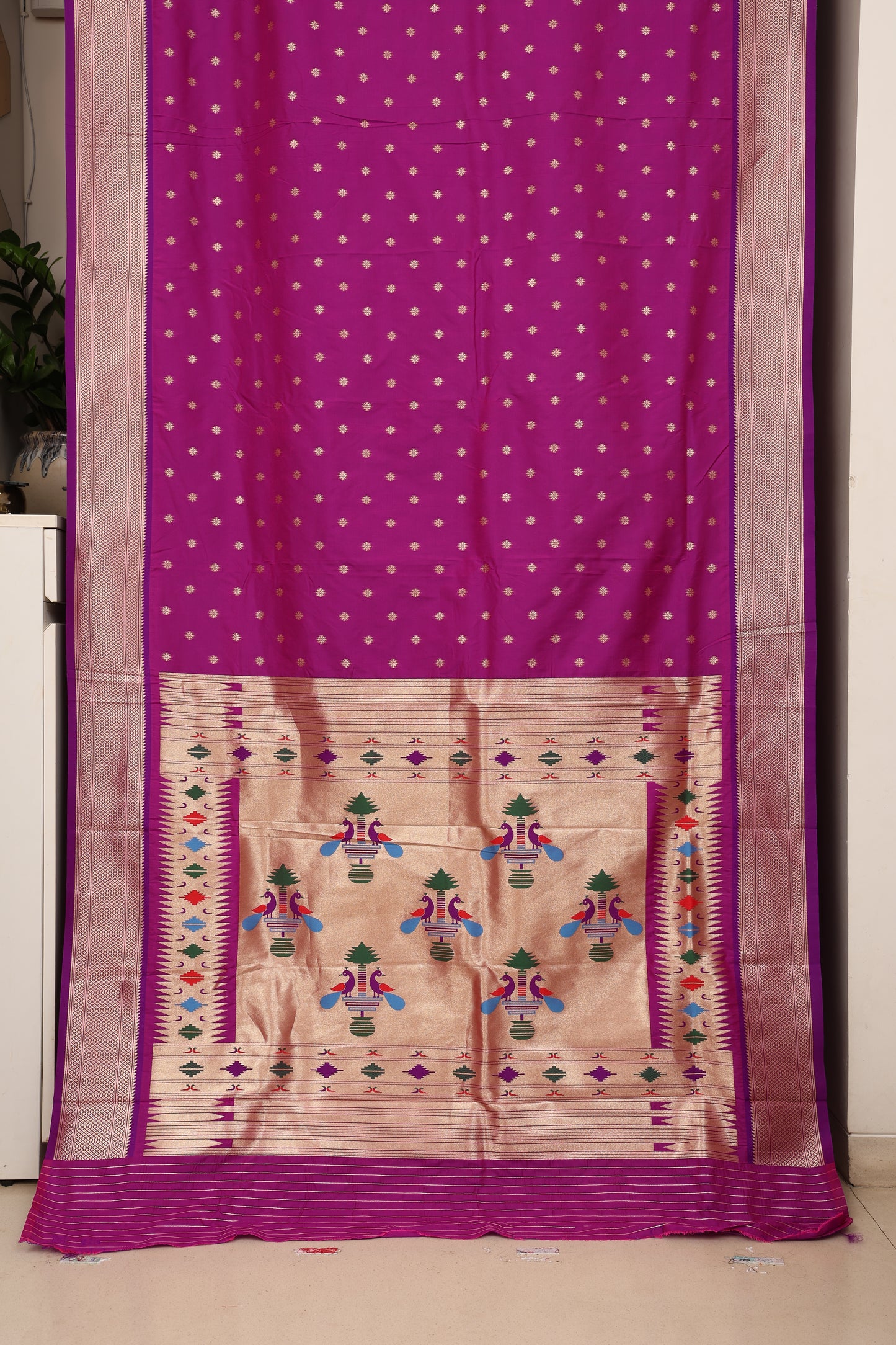 Royal Orchid Maharani Paithani